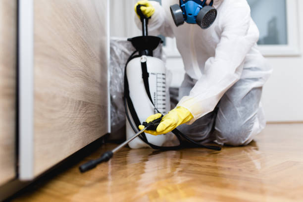Best Rat Extermination Near Me  in Richland, GA