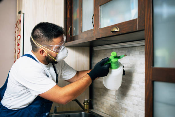 Best Wildlife Control Services  in Richland, GA