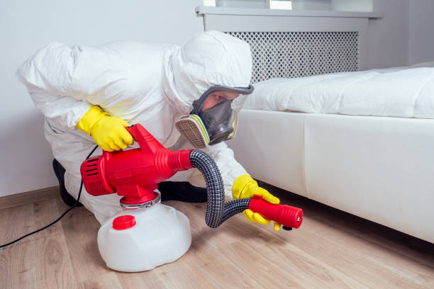 Best Flea Control Services  in Richland, GA