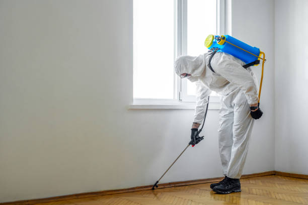 Best Pest Control Near Me  in Richland, GA