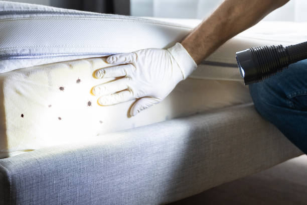 Best Pest Inspection Near Me  in Richland, GA