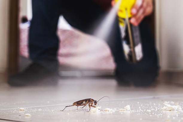 Best Emergency Pest Control  in Richland, GA
