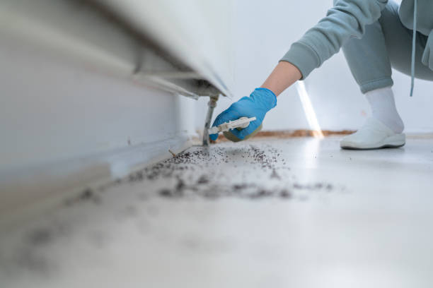 Best Bed Bug Extermination  in Richland, GA